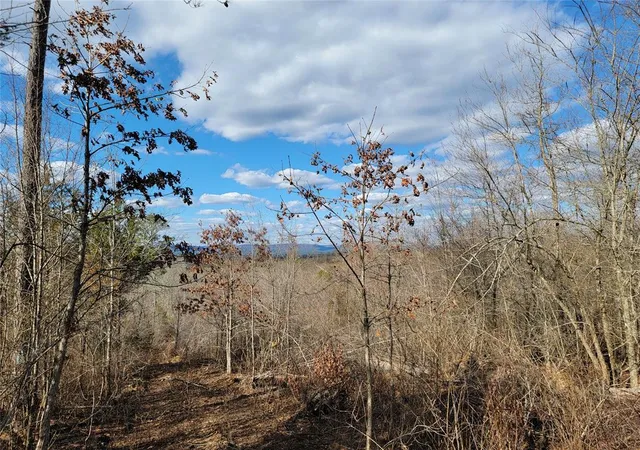 1st image of Hwy 4, Smithville, OK 74957 | MLS# 1246111