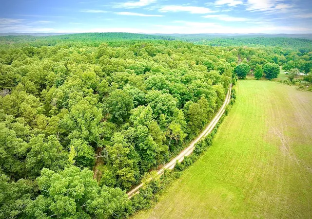 Photo 4 of Single family home for sale at 260 Box Elder Ln, Broken Bow, OK 74728 | MLS# 1246639 | Listing updated on 2026-09-03