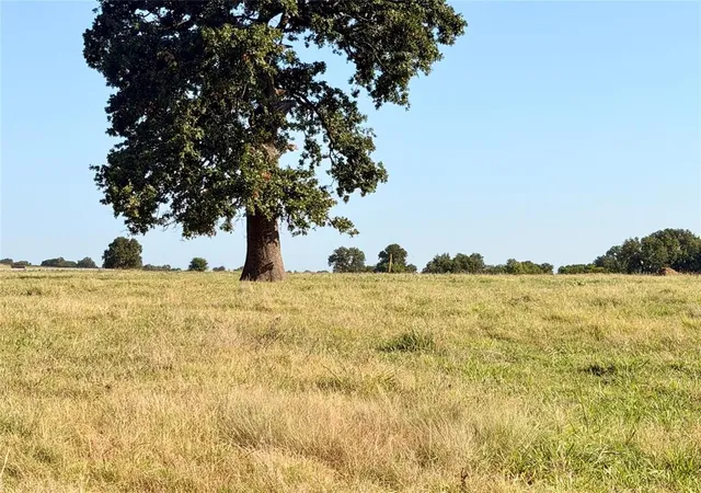 Photo 4 of Land for sale at E County Rd 1610, Pauls Valley, OK 73075 | MLS# 1246892 | Listing updated on 2026-09-01