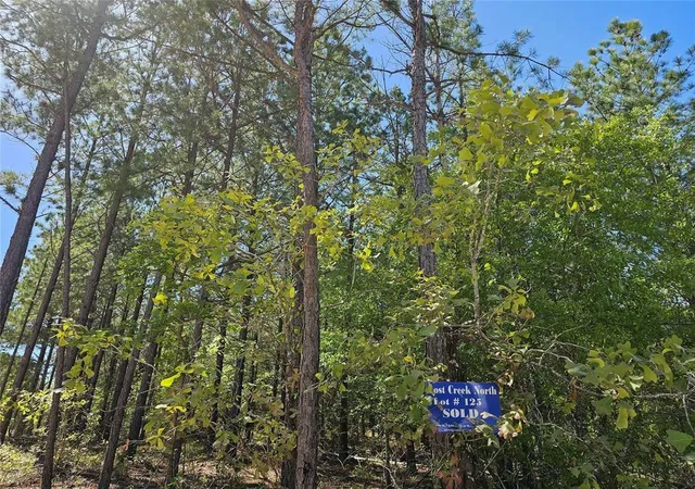 Photo 3 of Land for sale at 401 Hochapine Trl, Broken Bow, OK 74728 | MLS# 1247138 | Listing updated on 2026-09-01