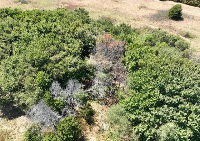 Photo 41 of Land for sale at N County Rd 2820, Rush Springs, OK 73082 | MLS# 1247220 | Listing updated on 2026-09-03