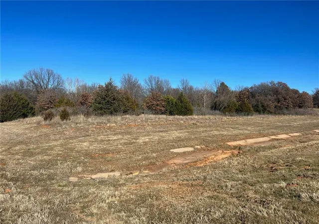 Photo 2 of Land for sale at 0000 Ok 39 Hwy, Wanette, OK 74878 | MLS# 1247258 | Listing updated on 2026-09-02