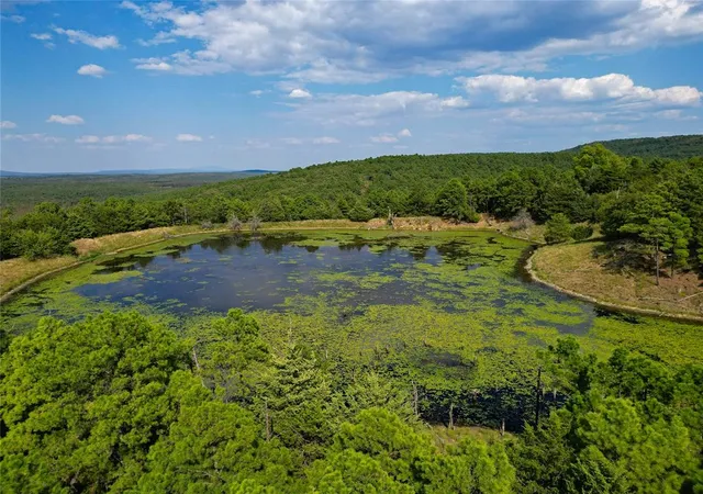Land for sale at SE 1095 Avenue, Panola, OK 74559 | MLS# 1247358
