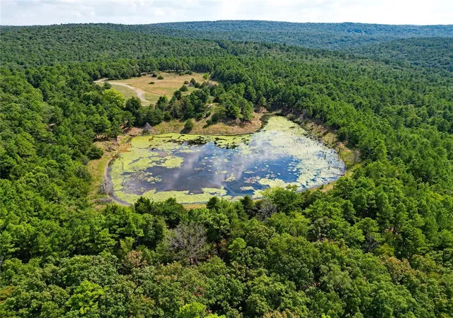 Photo 2 of Land for sale at Se 1095 Avenue, Panola, OK 74559 | MLS# 1247358 | Listing updated on 2026-09-04