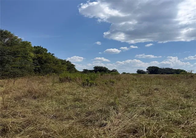 Photo 3 of Land for sale at 764 Wilmoth Rd, Idabel, OK 74745 | MLS# 1248080 | Listing updated on 2026-09-21