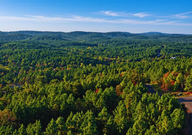 Land for sale at 37 Beech Ln, Broken Bow, OK 74728 | MLS# 1248947