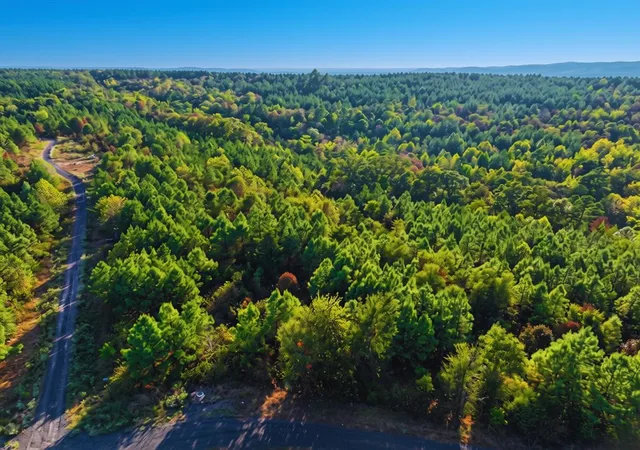 Photo 3 of Land for sale at 37 Beech Ln, Broken Bow, OK 74728 | MLS# 1248947 | Listing updated on 2026-09-22