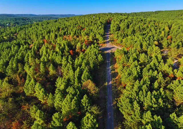 Photo 4 of Land for sale at 37 Beech Ln, Broken Bow, OK 74728 | MLS# 1248947 | Listing updated on 2026-09-22
