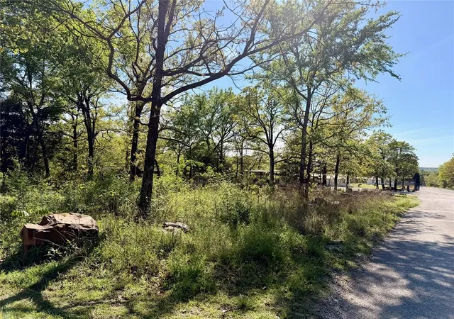 Photo 2 of Land for sale at Pine Dr, Stigler, OK 74462 | MLS# 1249120 | Listing updated on 2026-09-16