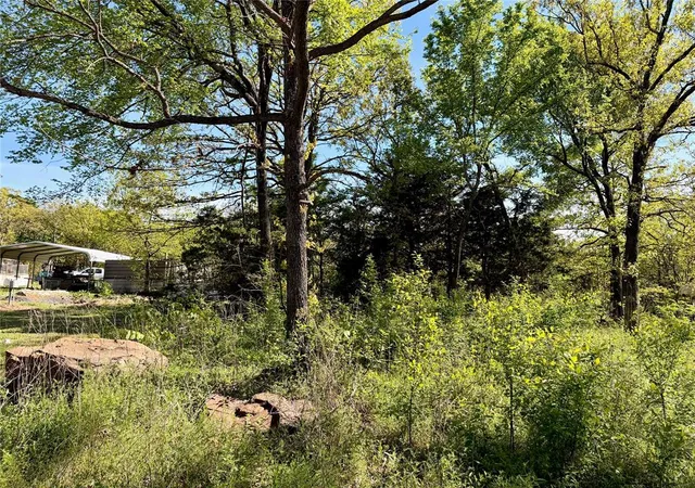 Photo 3 of Land for sale at Pine Dr, Stigler, OK 74462 | MLS# 1249120 | Listing updated on 2026-09-16