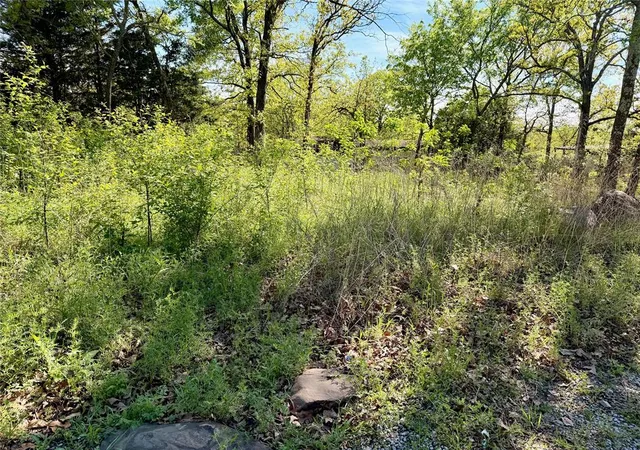 Photo 4 of Land for sale at Pine Dr, Stigler, OK 74462 | MLS# 1249120 | Listing updated on 2026-09-16