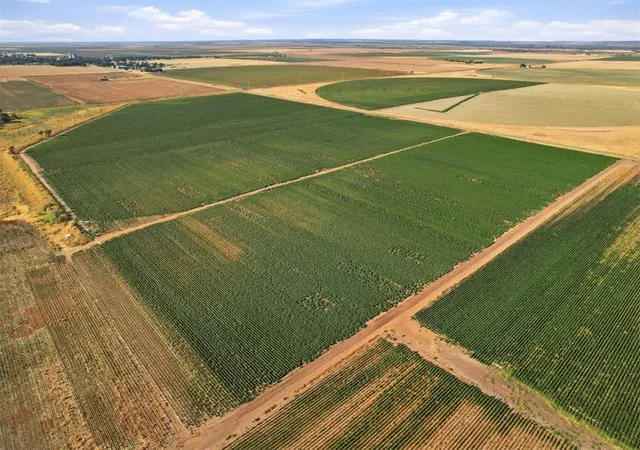 Photo 4 of Land for sale at County Rd Ew 172, Tipton, OK 73570 | MLS# 1250270 | Listing updated on 2026-09-27