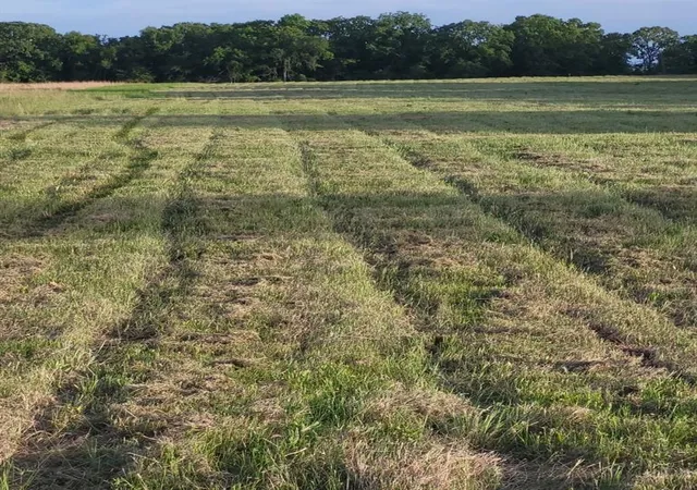 Photo 2 of Land for sale at 379059 E 1180 Road, Wetumka, OK 74884 | MLS# 1250536 | Listing updated on 2026-09-25