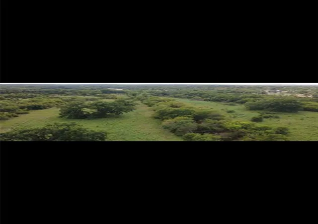Photo 2 of Land for sale at (Undisclosed), Macomb, OK 74852 | MLS# 1250545 | Listing updated on 2026-09-24