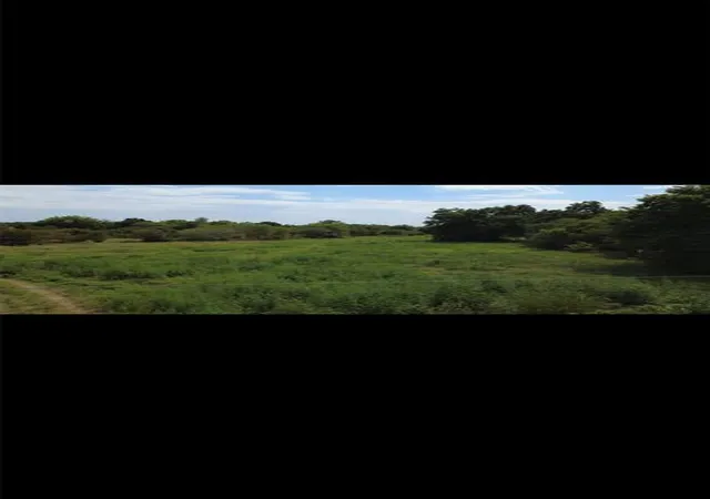 Photo 3 of Land for sale at (Undisclosed), Macomb, OK 74852 | MLS# 1250545 | Listing updated on 2026-09-24