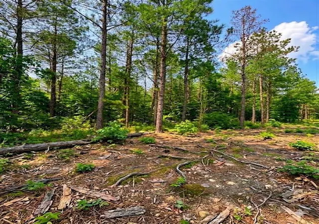 Photo 1 of Land for sale at 122 Southern Locust Trl, Broken Bow, OK 74728 | MLS# 1250549 | Listing updated on 2026-09-24