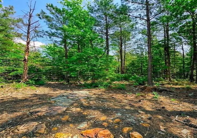 Photo 2 of Land for sale at 122 Southern Locust Trl, Broken Bow, OK 74728 | MLS# 1250549 | Listing updated on 2026-09-24