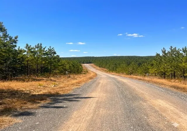 Land for sale at 68 Southern Spruce Trl, Broken Bow, OK 74728 | MLS# 1250550