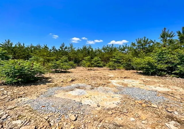 Photo 2 of Land for sale at 68 Southern Spruce Trl, Broken Bow, OK 74728 | MLS# 1250550 | Listing updated on 2026-09-24