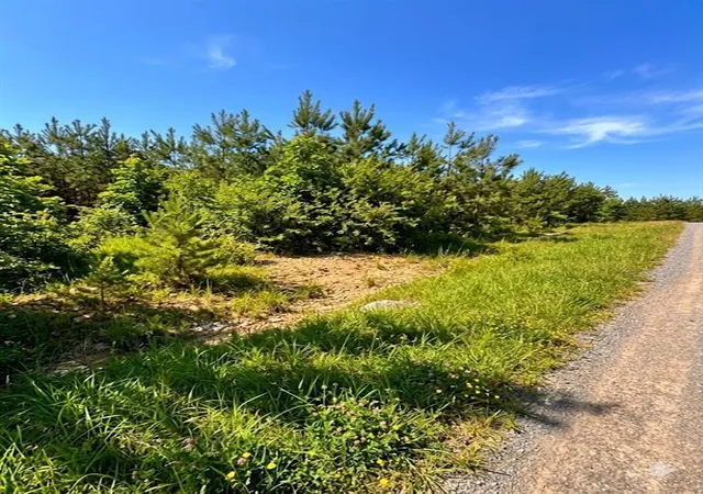 Photo 3 of Land for sale at 68 Southern Spruce Trl, Broken Bow, OK 74728 | MLS# 1250550 | Listing updated on 2026-09-24