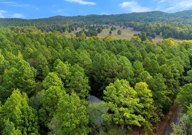 Photo 3 of Land for sale at 291 Split Paddle Ln, Broken Bow, OK 74728 | MLS# 1250924 | Listing updated on 2026-10-02