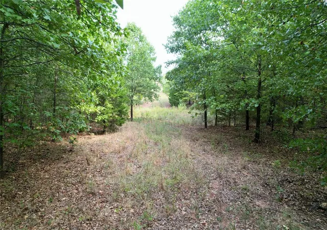 Photo 2 of Land for sale at 7675 Peaceful Oaks Ln, Macomb, OK 74852 | MLS# 1251119 | Listing updated on 2026-09-29
