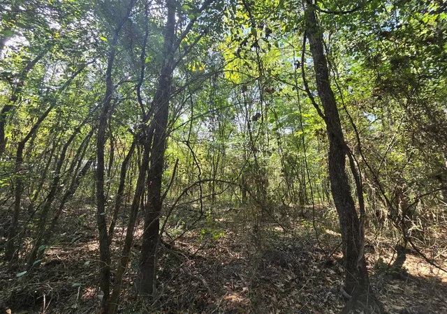 Photo 4 of Land for sale at Buffalo Rd, Smithville, OK 74957 | MLS# 1251275 | Listing updated on 2026-09-29