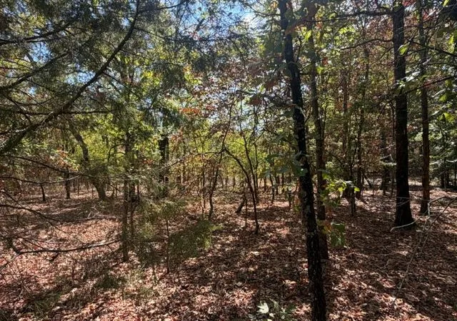Photo 2 of Land for sale at 12593 S Crystal Cemetery Rd, Lane, OK 74555 | MLS# 1251359 | Listing updated on 2026-10-11