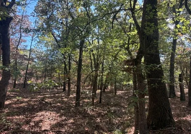 Photo 3 of Land for sale at 12593 S Crystal Cemetery Rd, Lane, OK 74555 | MLS# 1251359 | Listing updated on 2026-10-11