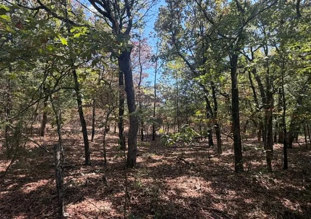 Photo 3 of Land for sale at 12593 S Crystal Cemetery Rd, Lane, OK 74555 | MLS# 1251359 | Listing updated on 2026-10-11