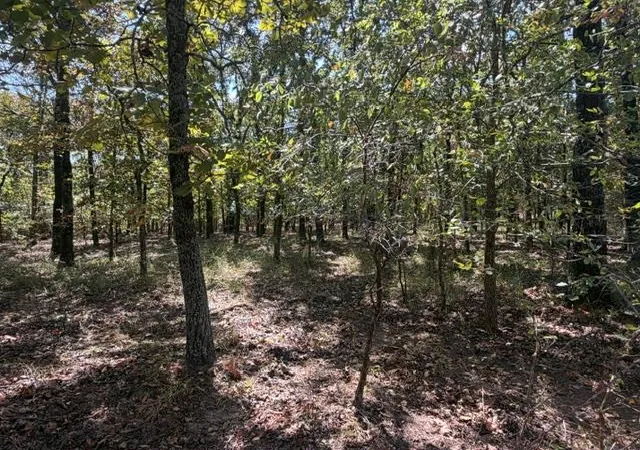 Photo 4 of Land for sale at 12593 S Crystal Cemetery Rd, Lane, OK 74555 | MLS# 1251359 | Listing updated on 2026-10-11