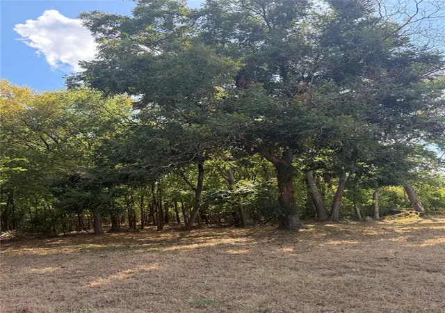 Photo 3 of Land for sale at NE Ave C, Idabel, OK 74745 | MLS# 1251368 | Listing updated on 2026-10-09