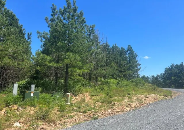 Photo 3 of Land for sale at 14 Morning Pines Trl, Broken Bow, OK 74728 | MLS# 1251483 | Listing updated on 2026-09-30