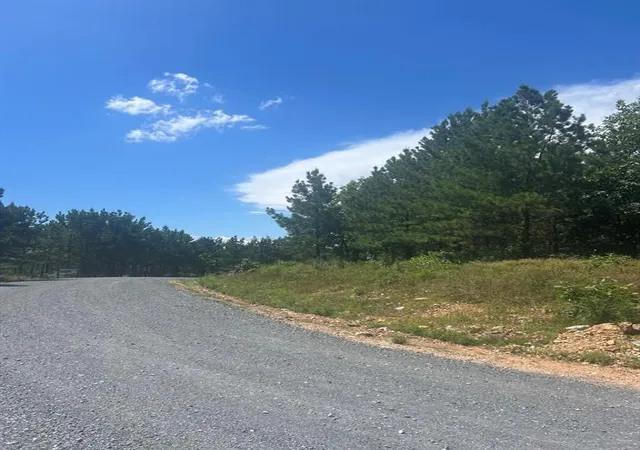 Photo 4 of Land for sale at 14 Morning Pines Trl, Broken Bow, OK 74728 | MLS# 1251483 | Listing updated on 2026-09-30