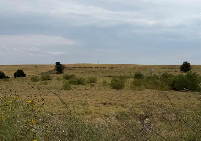 Photo 4 of Land for sale at 39111 US Hwy 281, Apache, OK 73006 | MLS# 1251484 | Listing updated on 2026-09-30