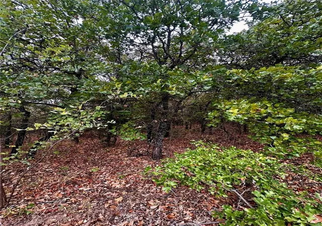 Photo 3 of Land for sale at 10001 S Indian Meridian St, Choctaw, OK 73020 | MLS# 1251575 | Listing updated on 2026-10-02