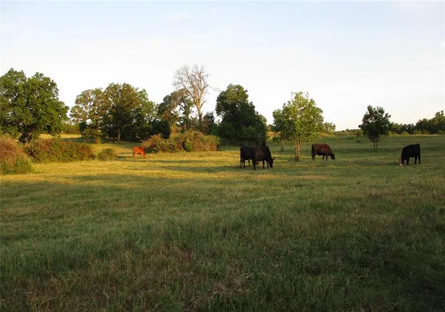 Photo 4 of Single family home for sale at 950494 S 3340 Road, Wellston, OK 74881 | MLS# 1251709 | Listing updated on 2026-10-01