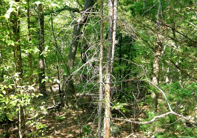 Photo 1 of Land for sale at Hee Crk, Smithville, OK 74957 | MLS# 1251814 | Listing updated on 2026-10-01