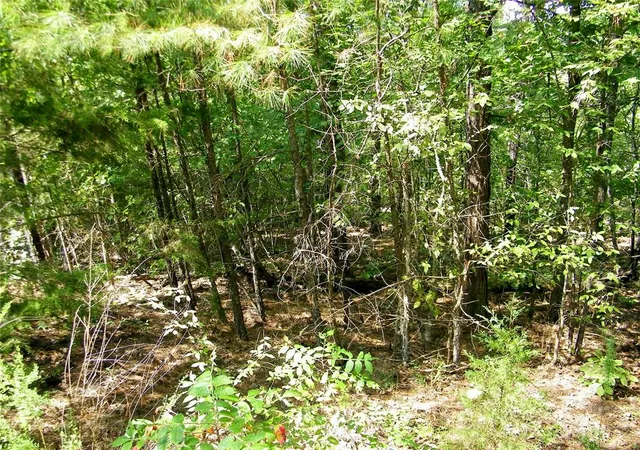 Photo 2 of Land for sale at Hee Crk, Smithville, OK 74957 | MLS# 1251814 | Listing updated on 2026-10-01