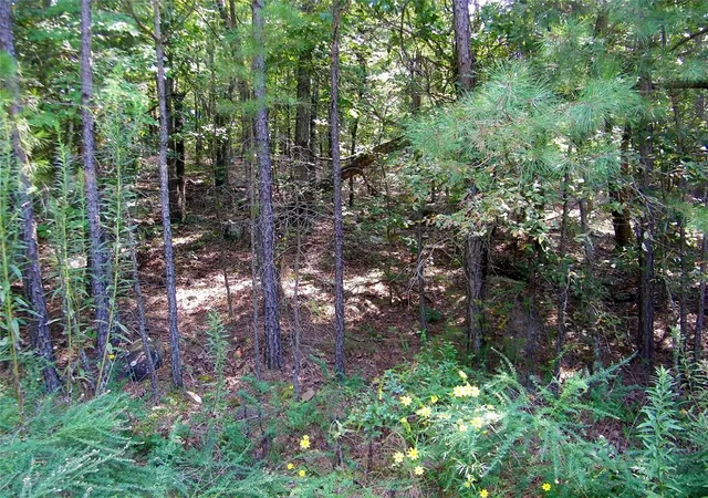 Photo 3 of Land for sale at Hee Crk, Smithville, OK 74957 | MLS# 1251814 | Listing updated on 2026-10-01