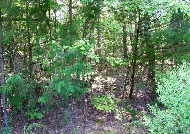 Photo 3 of Land for sale at Hee Crk, Smithville, OK 74957 | MLS# 1251814 | Listing updated on 2026-10-01