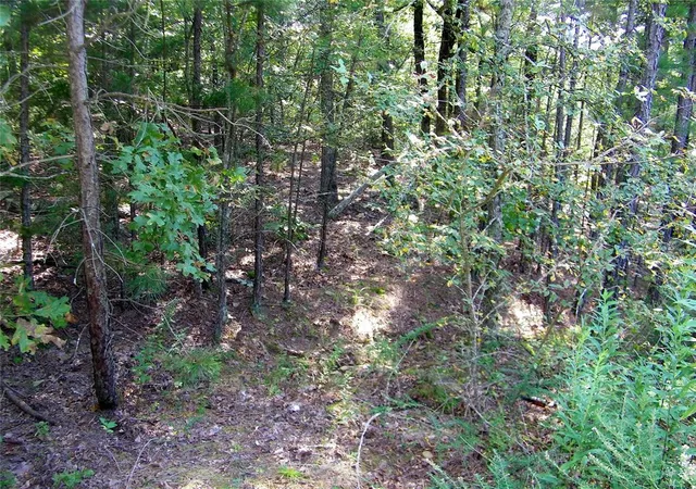 Photo 4 of Land for sale at Hee Crk, Smithville, OK 74957 | MLS# 1251814 | Listing updated on 2026-10-01