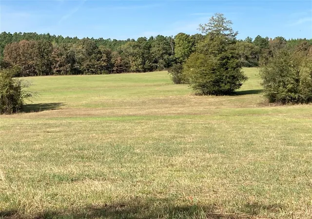 Photo 3 of Land for sale at 901 Sycamore Bnd Loop, Broken Bow, OK 74728 | MLS# 1251823 | Listing updated on 2026-10-02