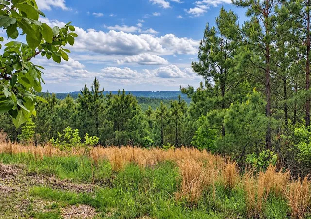 Photo 1 of Land for sale at 158 Legacy Ridge Trl, Broken Bow, OK 74728 | MLS# 1252197 | Listing updated on 2026-10-04