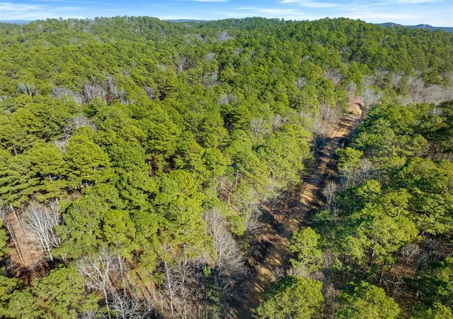 Photo 3 of Land for sale at Lamprey Rd, Broken Bow, OK 74728 | MLS# 1252224 | Listing updated on 2026-10-05