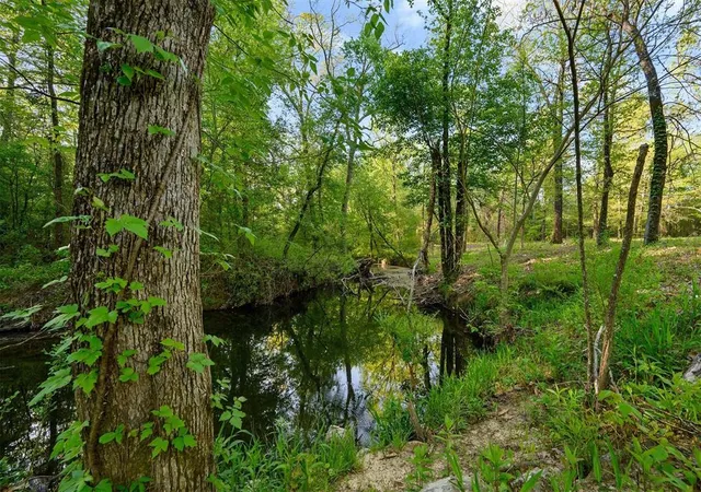 Photo 3 of Land for sale at 21534 N Us Hwy 259, Broken Bow, OK 74728 | MLS# 1252424 | Listing updated on 2026-10-06