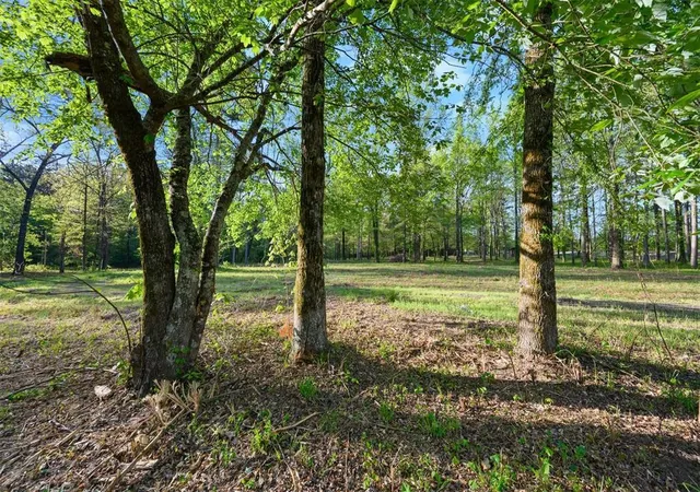 Photo 4 of Land for sale at 21534 N US Hwy 259, Broken Bow, OK 74728 | MLS# 1252424 | Listing updated on 2026-10-06