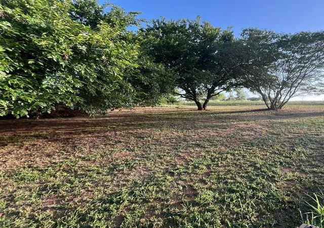 Photo 1 of Land for sale at 1420 County Rd, Ninnekah, OK 73067 | MLS# 1252431 | Listing updated on 2026-10-09