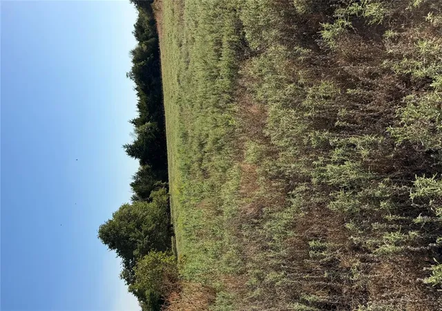 Photo 4 of Land for sale at County St 2770, Cement, OK 73017 | MLS# 1253416 | Listing updated on 2026-10-14
