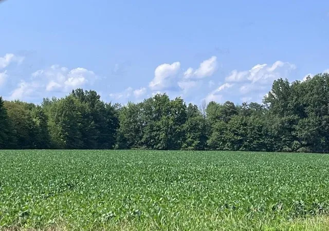 1st image of 3517 Bardwell West Rd, Mount Orab, OH 45154 | MLS# 1776618